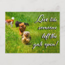 Buscar puerta abierta postales Perro