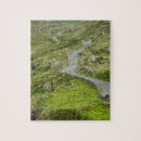 Buscar musgo puzzles Al aire libre