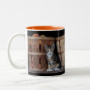 Buscar gatito del tabby tazas Felino