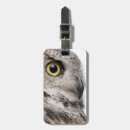 Buscar virginianus accesorios Naturaleza