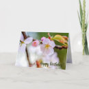 Buscar composición tarjetas Para todos