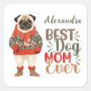 Buscar pug etiquetas Amantes del perro