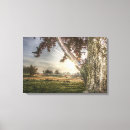 Buscar muñecas lienzos General y unisex