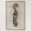 Buscar anatómico puzzles Médico