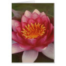Buscar buddhism postales Loto