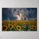 Buscar relámpago posters Campo