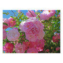 Buscar flores románticas posters General y unisex