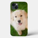 Buscar sonrisa ipad fundas Cachorro
