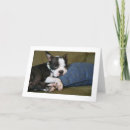 Buscar molesto tarjetas Perro