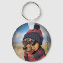 Buscar pinscher llaveros Lindo