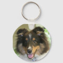 Buscar sheltie llaveros Perrito