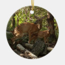 Buscar madre naturaleza adornos Fotografía