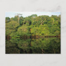 Buscar amazonas postales Brasil