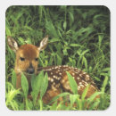 Buscar minnesota pegatinas Naturaleza