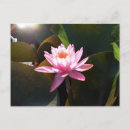 Buscar floral p postales General y unisex