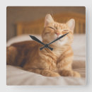 Buscar imagen del gato relojes de pared Gatos