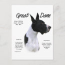 Buscar great dane postales Danzas