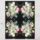 Buscar manzano manualidades Para ella