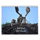 Buscar gaviotas calendarios Fotografía