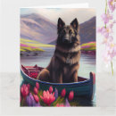 Buscar pastor belga tarjetas Para todos