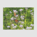 Buscar mariposa monarca papel de seda Flores