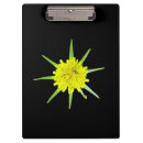Buscar barbas libretas Flor