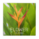 Buscar flowers azulejos Jardín