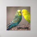 Buscar pájaros del amor lienzos Para todos