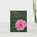 Buscar contacto tarjetas General y unisex