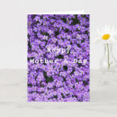 Buscar flores violetas tarjetas Madre