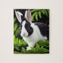 Buscar conejos blancos puzzles Conejito