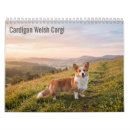 Buscar corgi calendarios Galés
