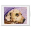 Buscar dalmation Perro