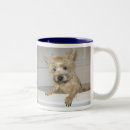 Buscar mojones tazas Terrier