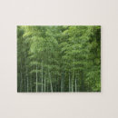 Buscar bosque de bambú puzzles Paisaje