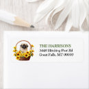 Buscar pekingese postales Perrito