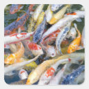 Buscar peces pegatinas Estanque