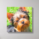 Buscar yorkshire terrier arte Negro