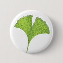 Buscar biloba Simple