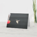 Buscar comedor tarjetas Naturaleza