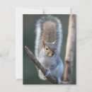 Buscar rama postales Animales