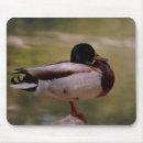 Buscar pato silvestre alfombrillas de raton Animal