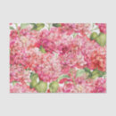 Buscar rosa coral papel de seda Vintage