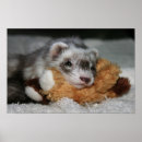 Buscar penique posters Animales