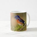 Buscar bluebird tazas Fotografía