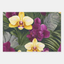 Buscar orquídeas papel de regalo Naturaleza