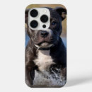 Buscar mullido iphone fundas Perro