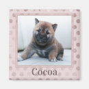 Buscar perro rosado imanes Adorable
