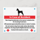 Buscar accidentes postales Emergencia