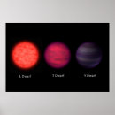 Buscar comparaciones posters Tamaño